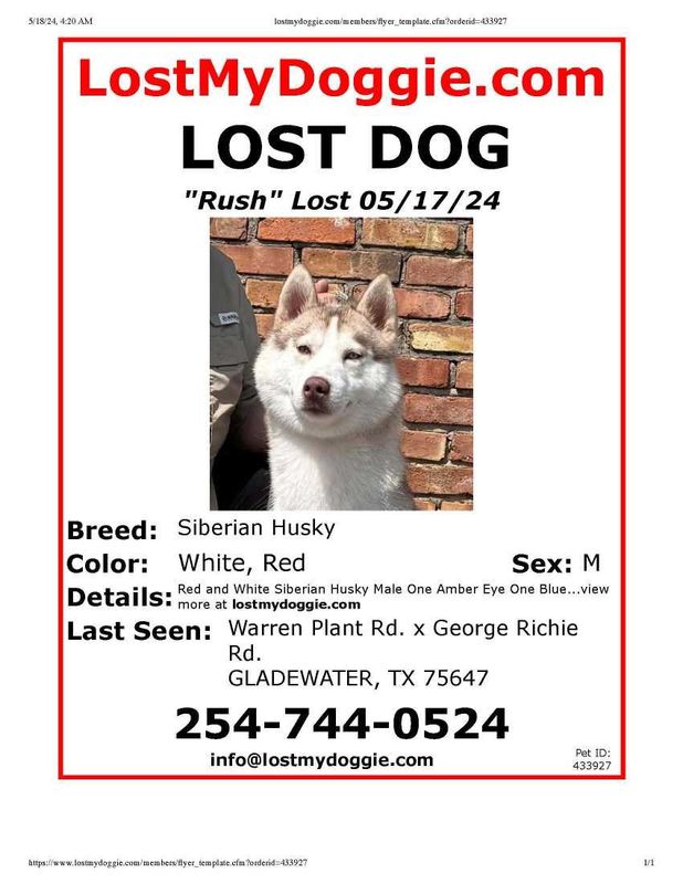 Lost Dog in Gladewater — listing photo