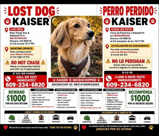 Lost Dog in Denver, Colorado — …desperately posting for my friends missing dog Kaiser.