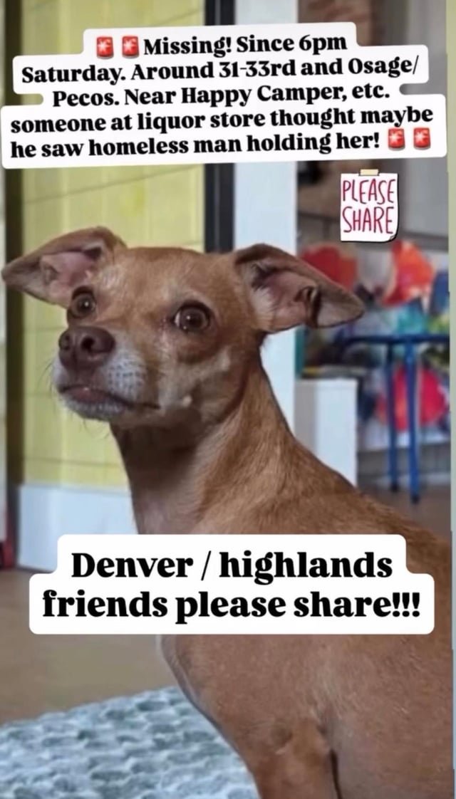 Lost Pet in Denver, Colorado — listing photo
