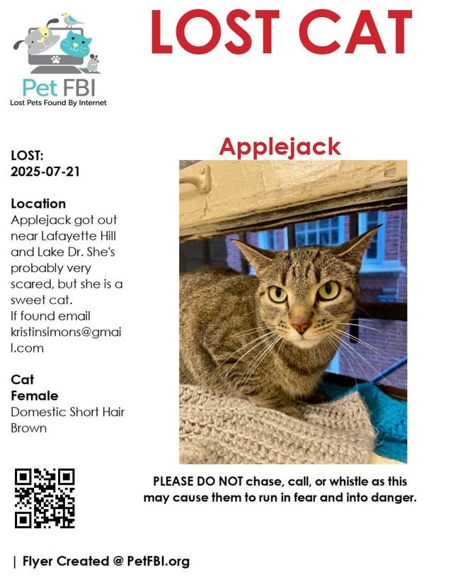 Lost Cat in Milwaukee, Wisconsin — listing photo