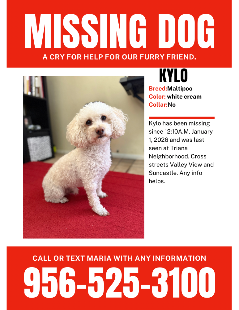 Lost Dog in Enterprise — listing photo