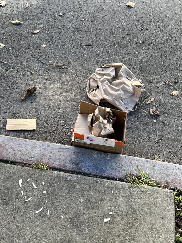 Found Dog in San Francisco, California — Amazon left my package outside the gate this morning.