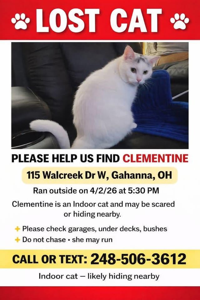Lost Cat in Columbus, Ohio — listing photo