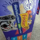 Lost Cat in Fort Wayne, Indiana — Free wet cat food!