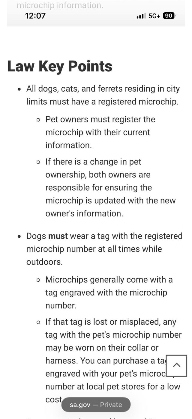 Lost Pet in San Antonio, Texas — I had not heard this until today, All San Antonio pets must be chipped.