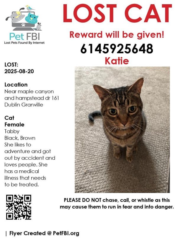 Lost Cat in Cleveland, Ohio — Dublin Granville 161, near Cleveland ave. Please help me find my cat