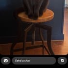 lost cat in Montgomery, Alabama