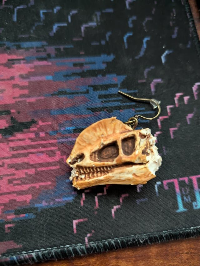 Found Dog in Indianapolis, Indiana — My gf got these at geofest, anyone able to help us find the vendor?