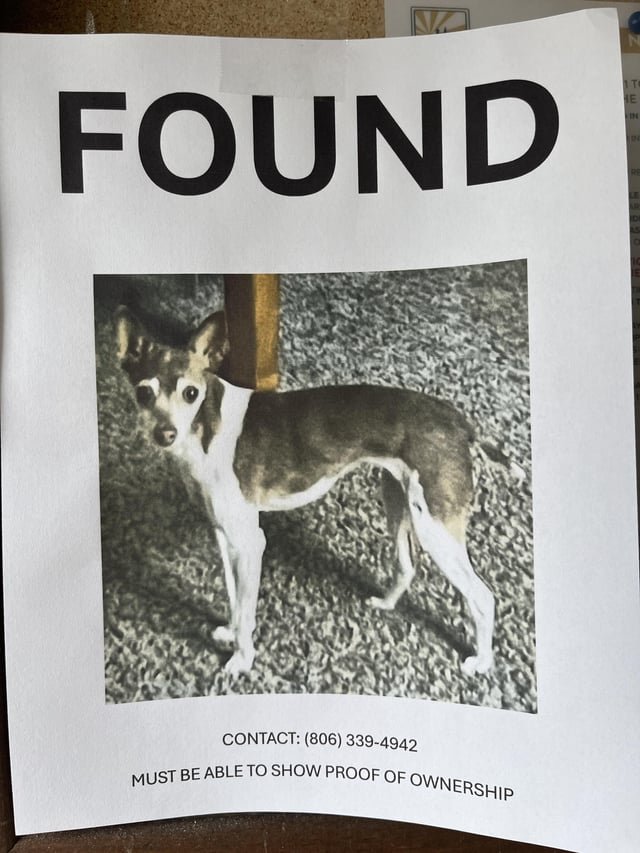Found Pet in Omaha, Nebraska — listing photo
