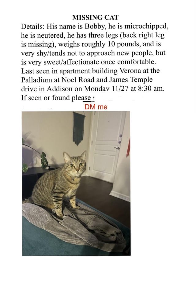 Lost Cat in Dallas, Texas — [Addison] My friend’s cat got out and is missing. Please DM me if you’ve seen him