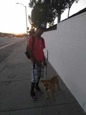 Lost Dog in Austin, Texas — listing photo
