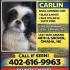 Lost Pet in Omaha, Nebraska — listing photo