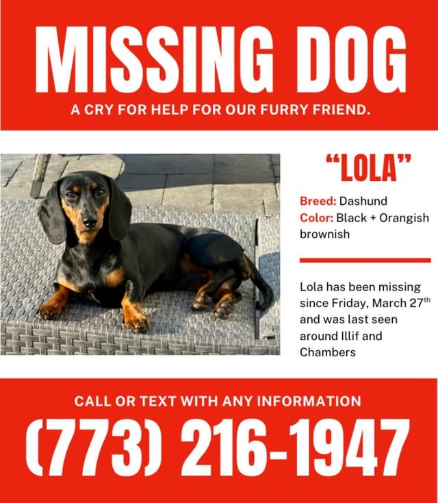 lost dog in Denver, Colorado