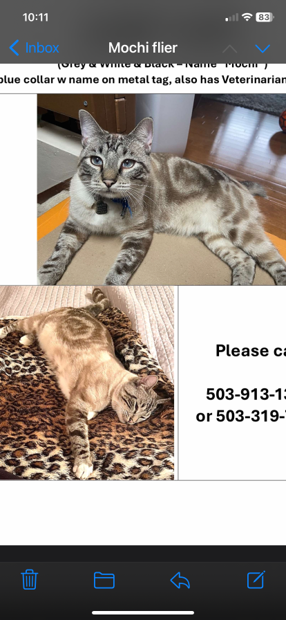 Lost Cat in Lake Oswego, Oregon — listing photo