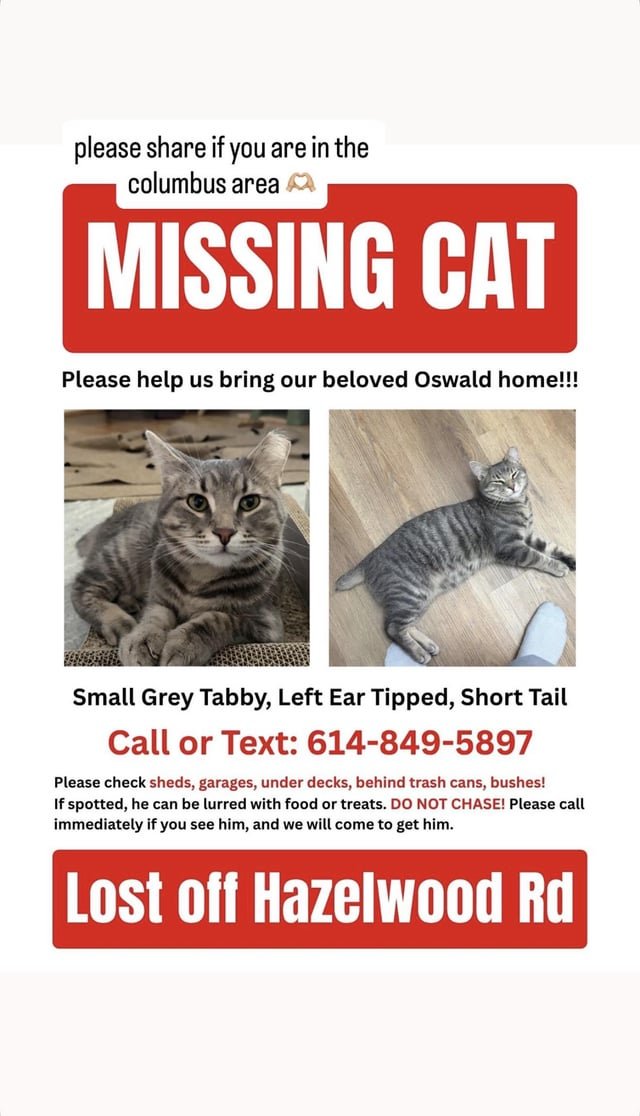 lost pet in Columbus, Georgia
