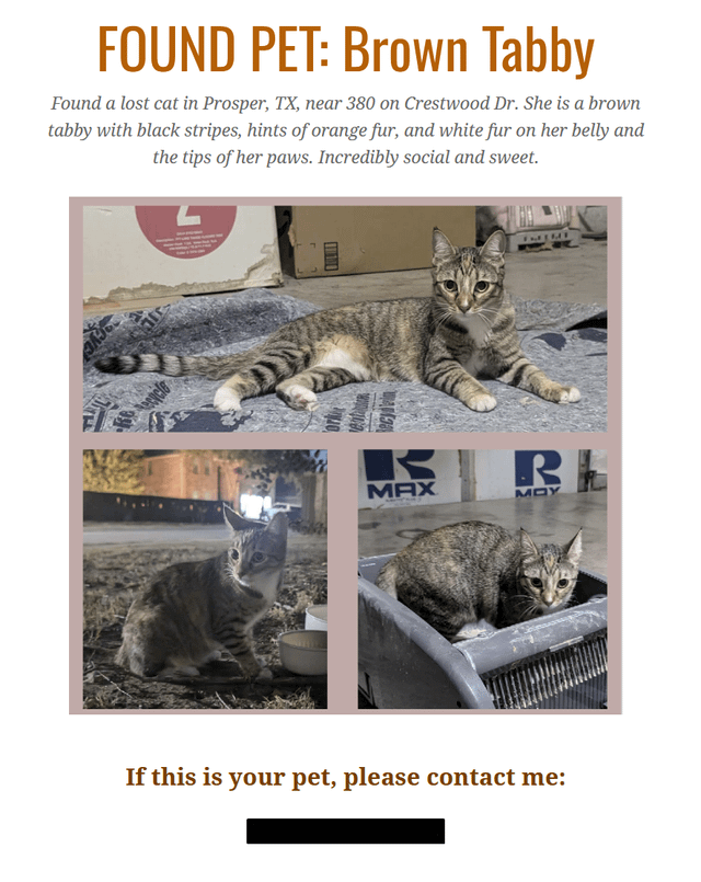 Found Cat in Dallas, Texas — Unsure if this kind of post is allowed, but I found a cat in Prosper TX, definitely someone's pet…