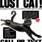 Lost Cat in Seattle, Washington — STILL MISSING! LOST CAT - 33rd Ave SW & SW 100th (White Center/Arbor Heights)