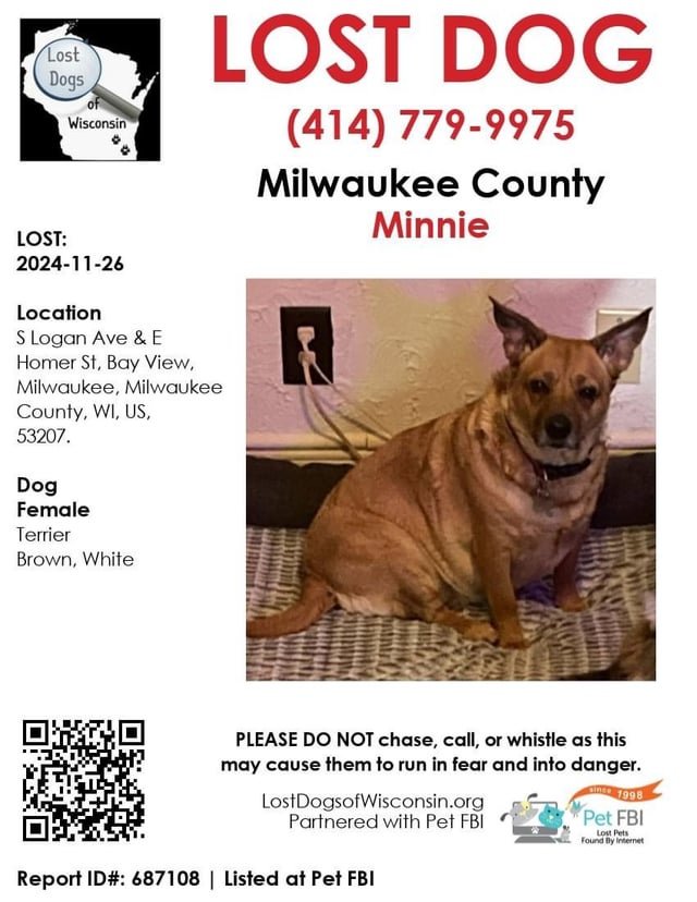 Lost Dog in K — listing photo