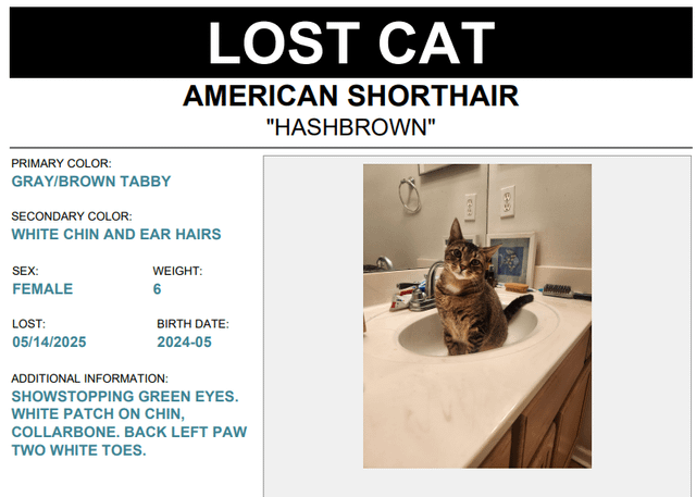 Lost Pet in Jacksonville, North Carolina — listing photo