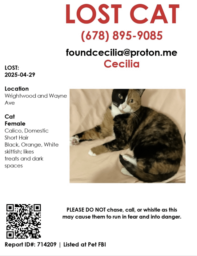 Lost Cat in Lincoln Park, Michigan — listing photo