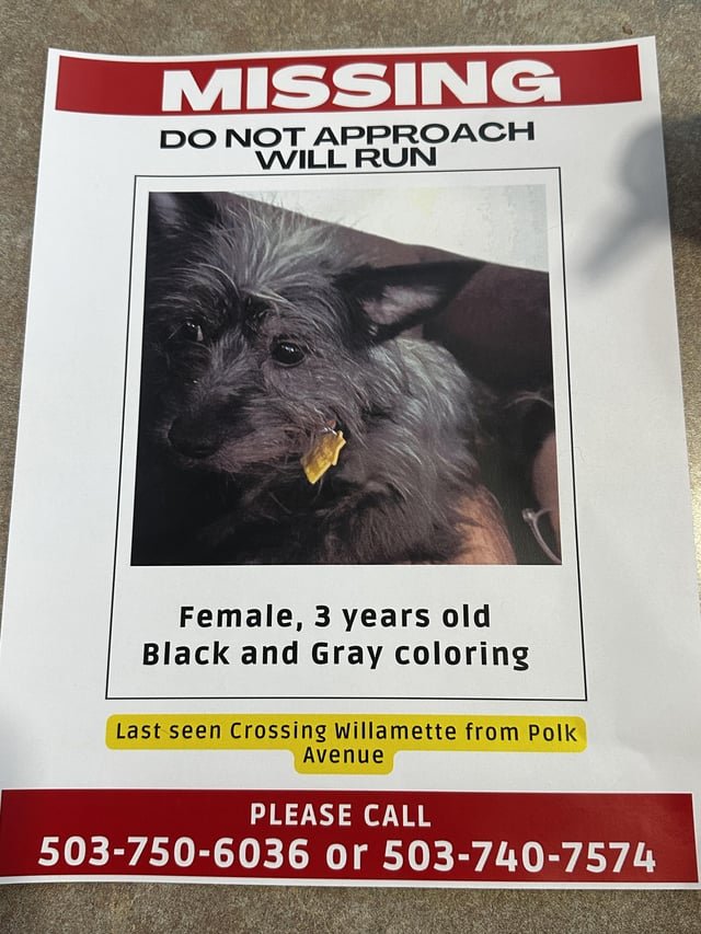 lost dog in Portland, Oregon