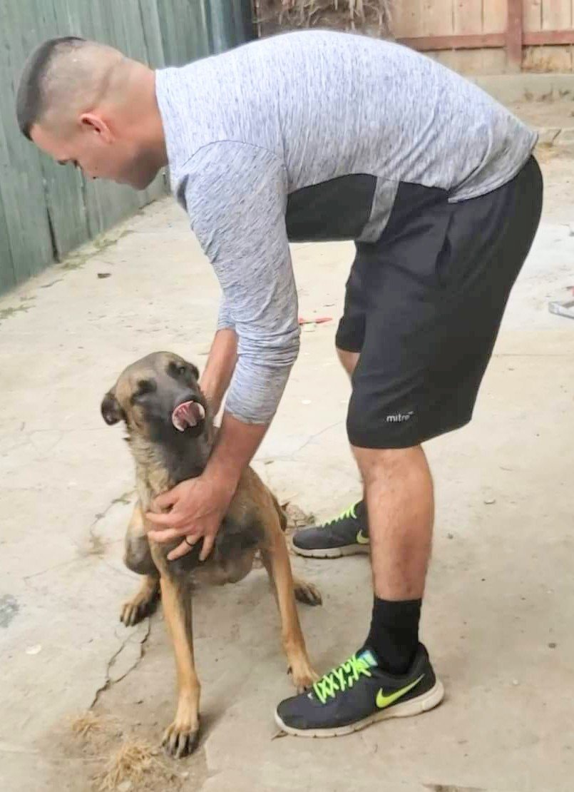 Lost Dog in El Paso, Texas — listing photo