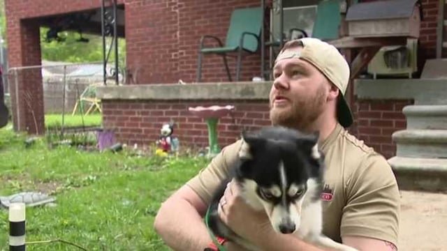 Lost Dog in Detroit, Michigan — Facebook lost dog post leads to ransom demands, police investigation in Warren