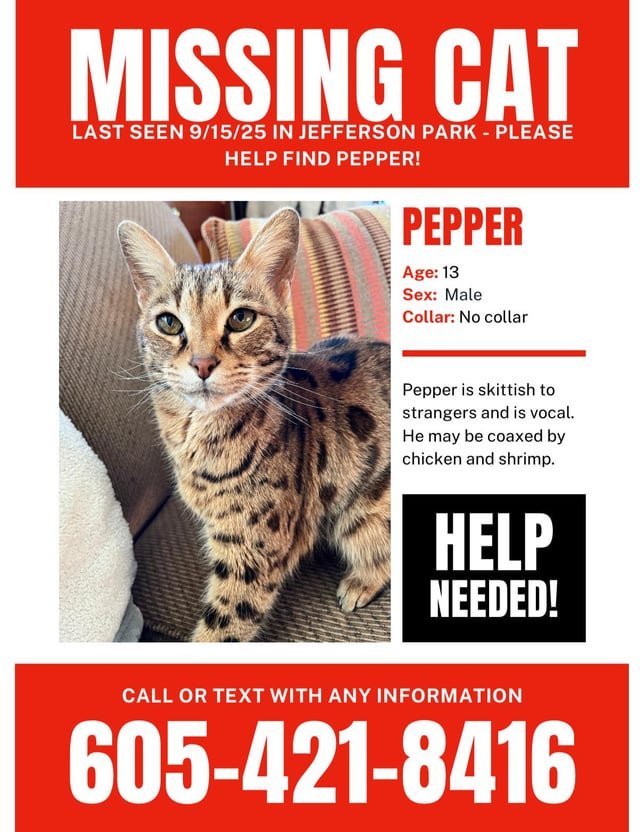 lost cat in Jefferson