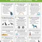 Lost Pet in Tempe, Arizona — Freezing temperatures are coming please take care of your pets. Bring them in and keep them warm…