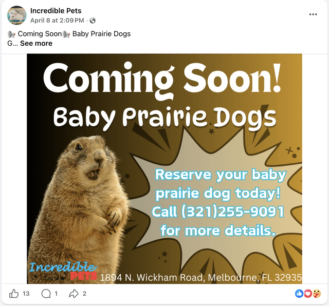 Found Dog in Orlando, Florida — VP of Sloth World runs an exotic animal pet store in Melbourne that has been selling people sick…