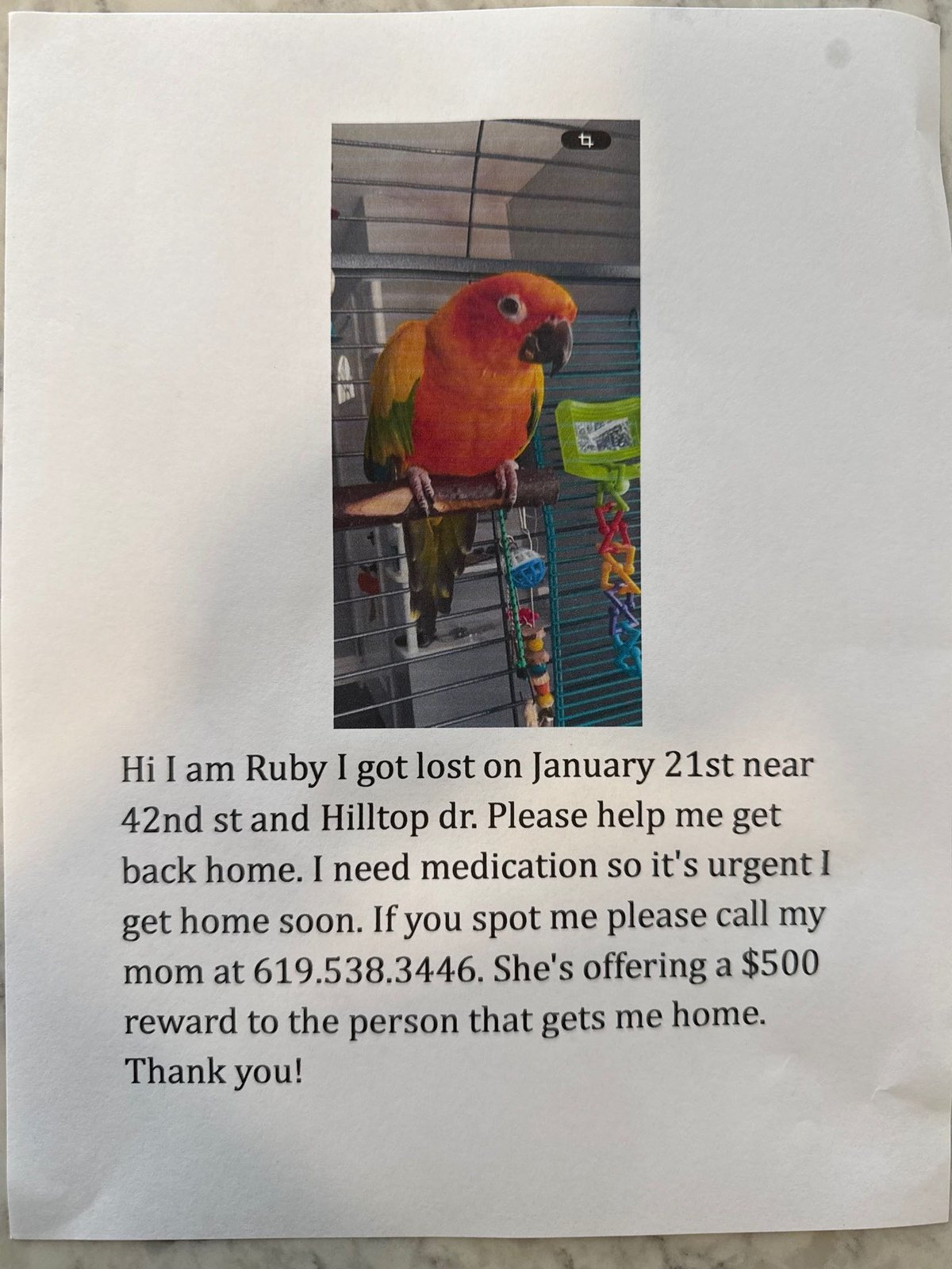 Lost Pet in San Diego, California — listing photo