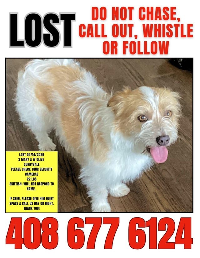 lost pet in San Jose, California