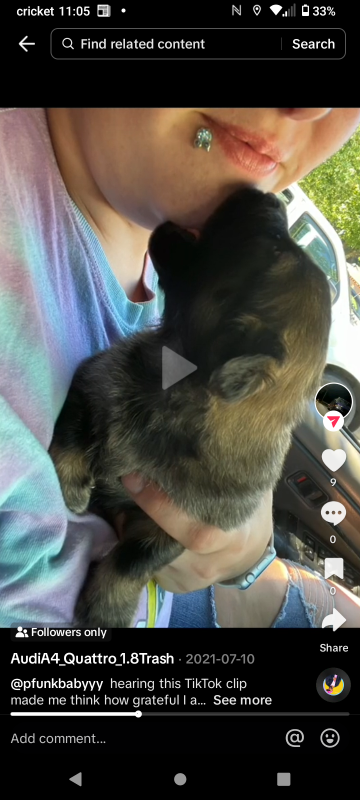 Found Dog in Ramseur — listing photo