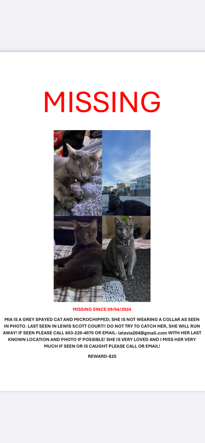 Lost Cat in Eastover — listing photo
