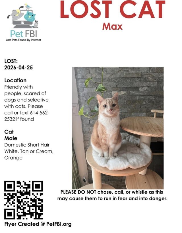 Lost Cat in Columbus, Ohio — Bethel area cat