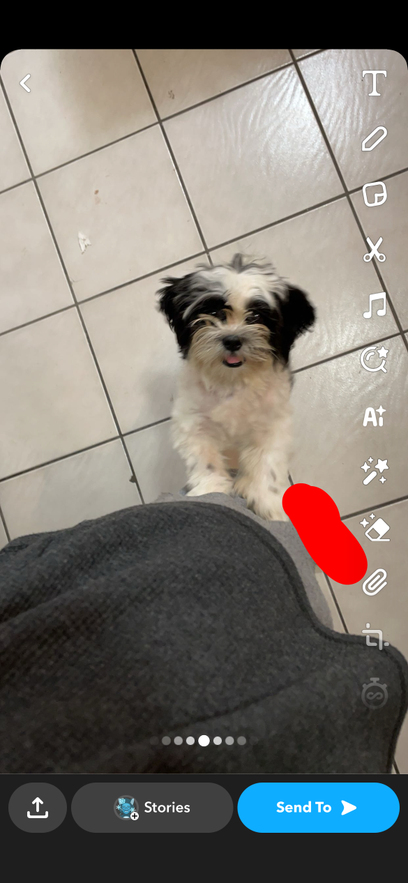 Lost Dog in Houston, Texas — listing photo