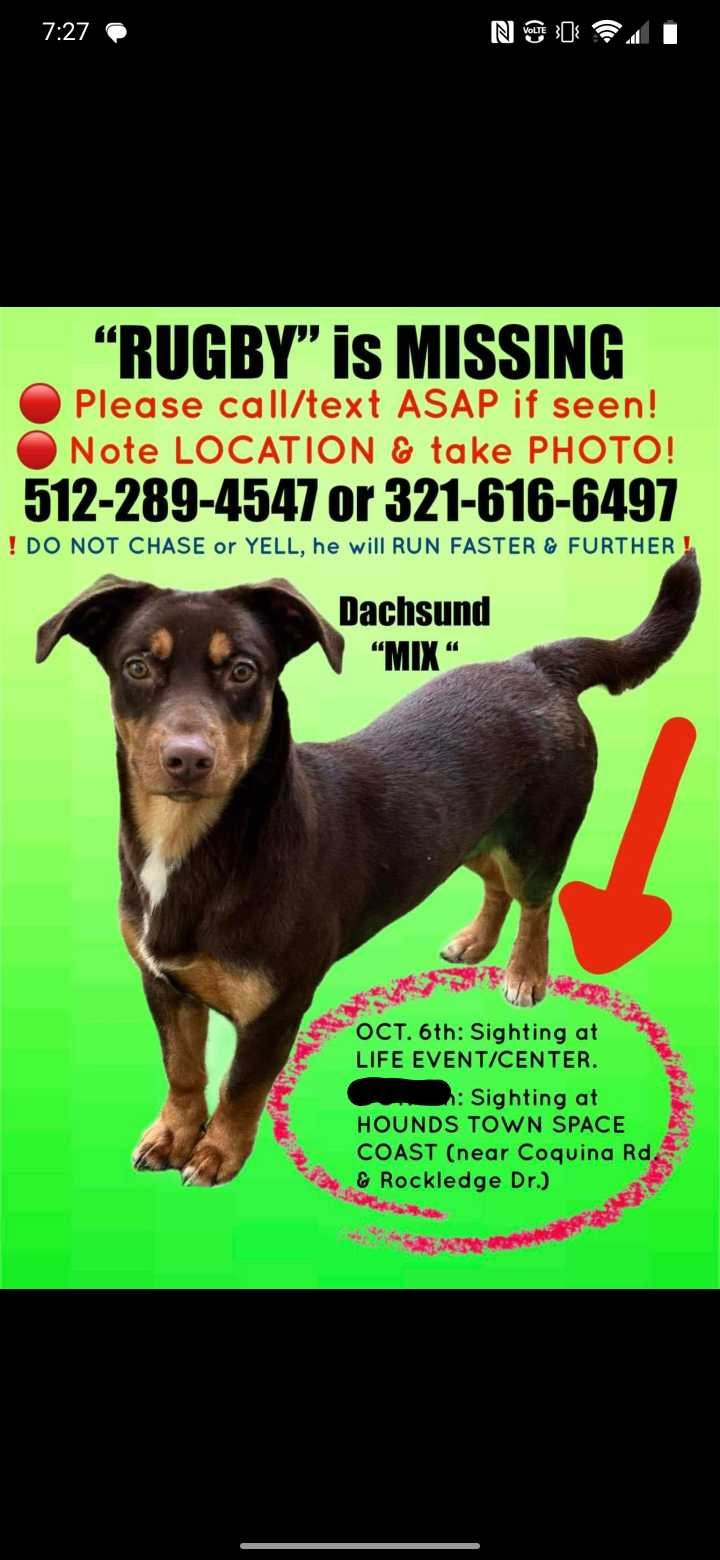 Lost Dog in FL 32955 — listing photo