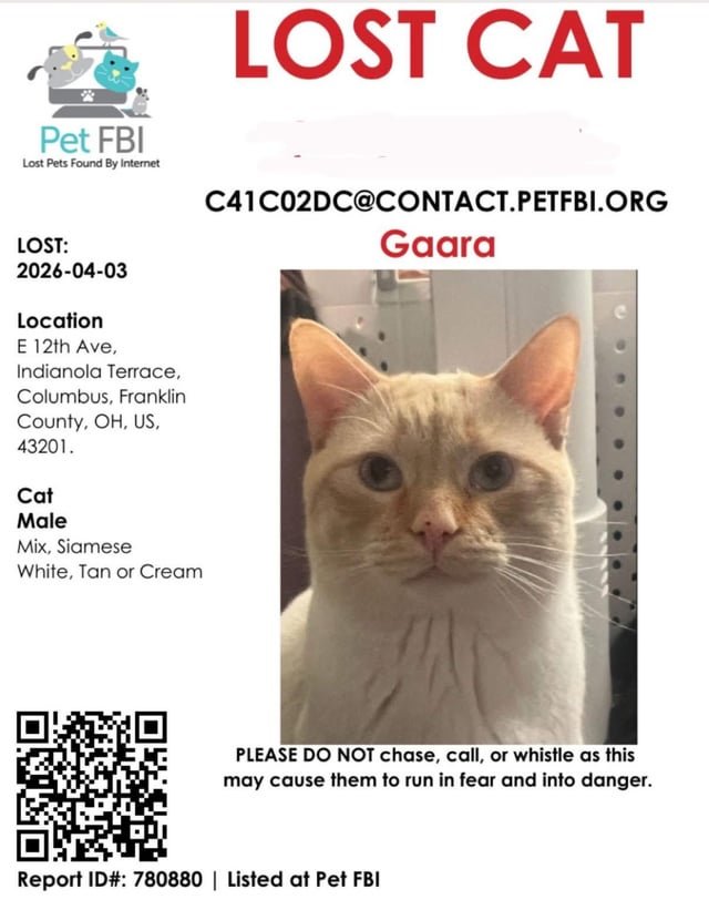 Lost Cat in Columbus, Ohio — listing photo