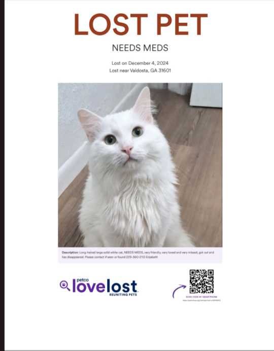 Lost Cat in Valdosta, Georgia — listing photo