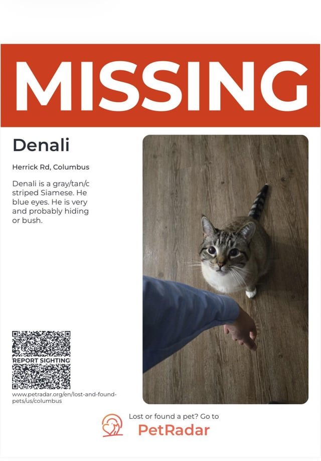 Lost Cat in Arlington, Texas — listing photo