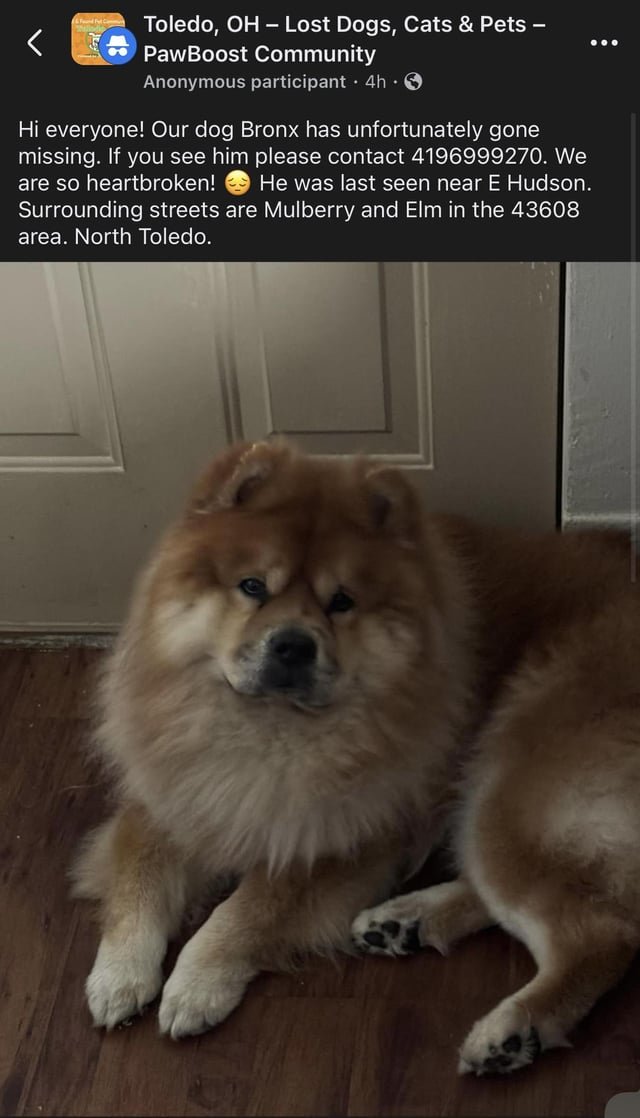 Lost Dog in Toledo, Ohio — Hello fellow Toledo family!