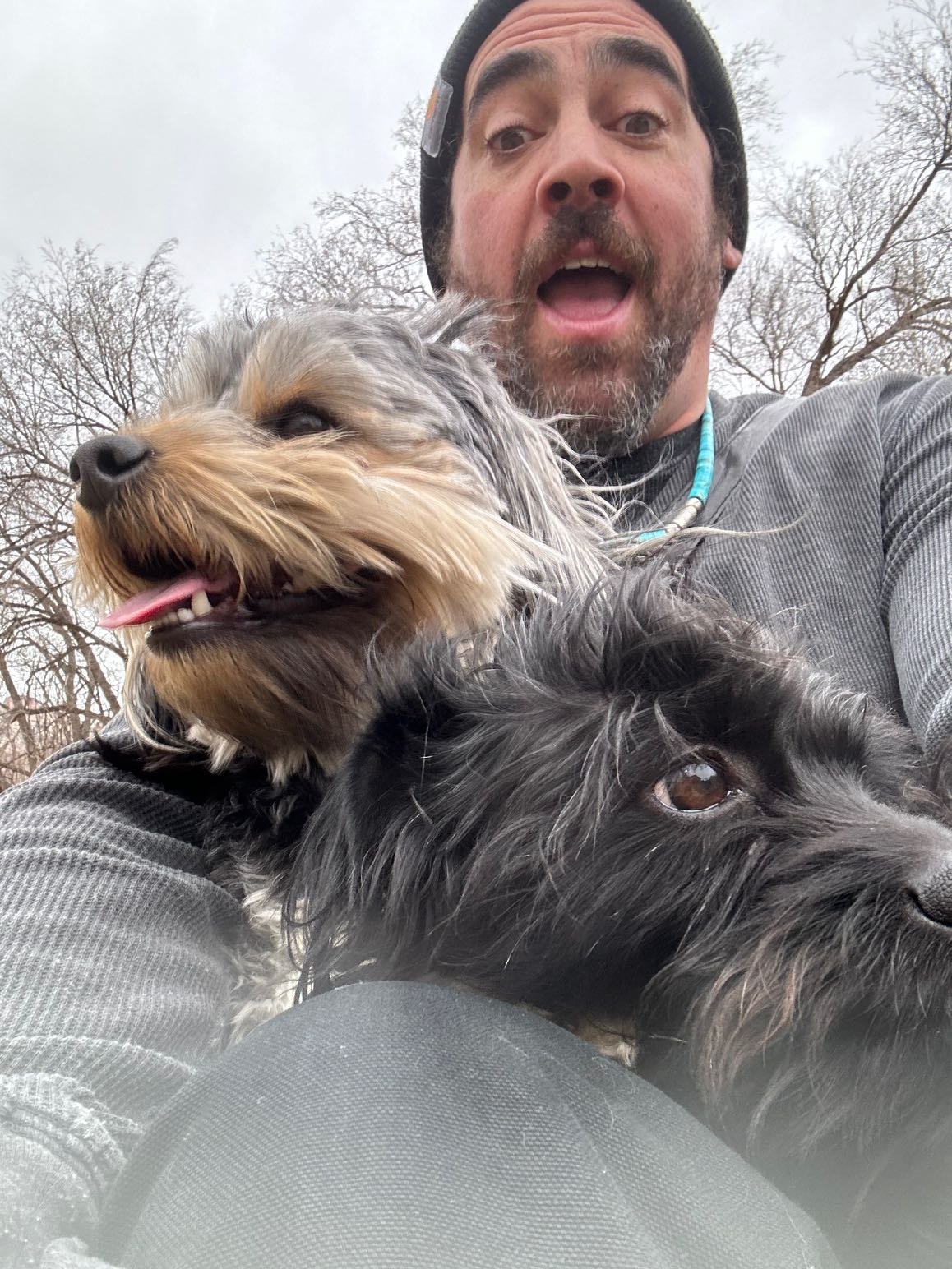 Lost Dog in Escalante — listing photo