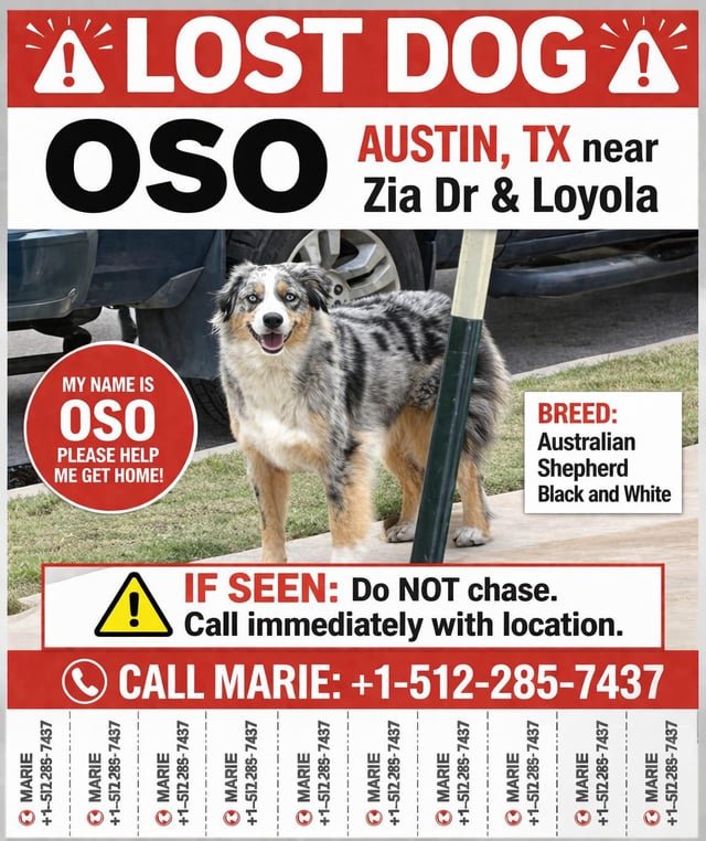 lost dog in Austin, Texas