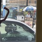 Found Dog in Milwaukee, Wisconsin — Abortion is murder guy