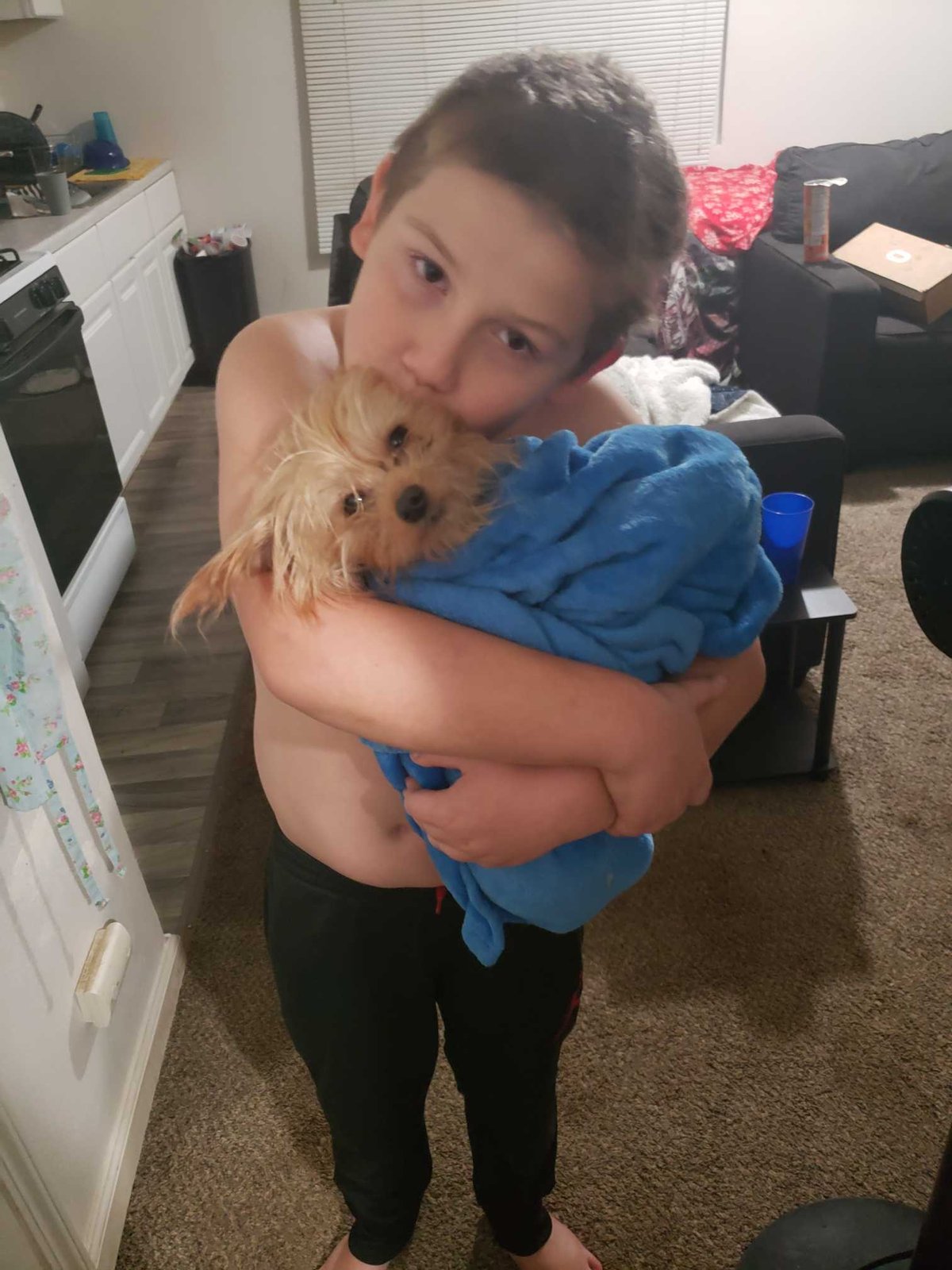 Lost Dog in Oroville — listing photo