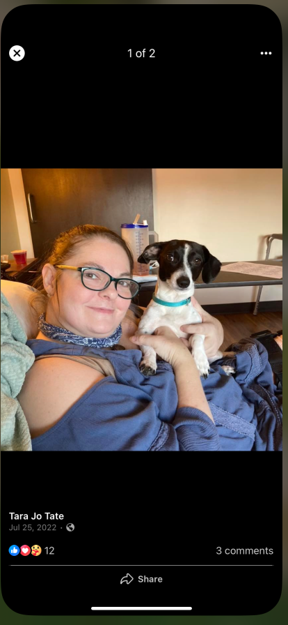 lost dog in Northglenn, Colorado