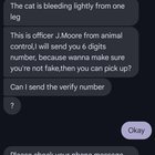 Lost Cat in K — Potential Scammer