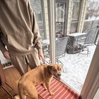 Found Pet in Minneapolis, Minnesota — listing photo