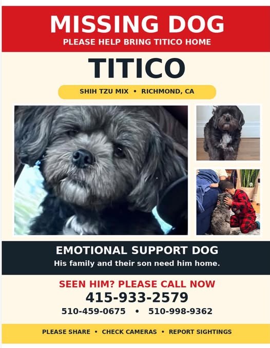 Lost Dog in Richmond, California — listing photo