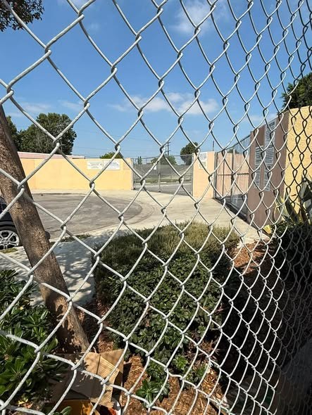 Pet alert in South Gate, California — I hope there is a cat rescue group out there or TNR group seeing this — additional photo 4